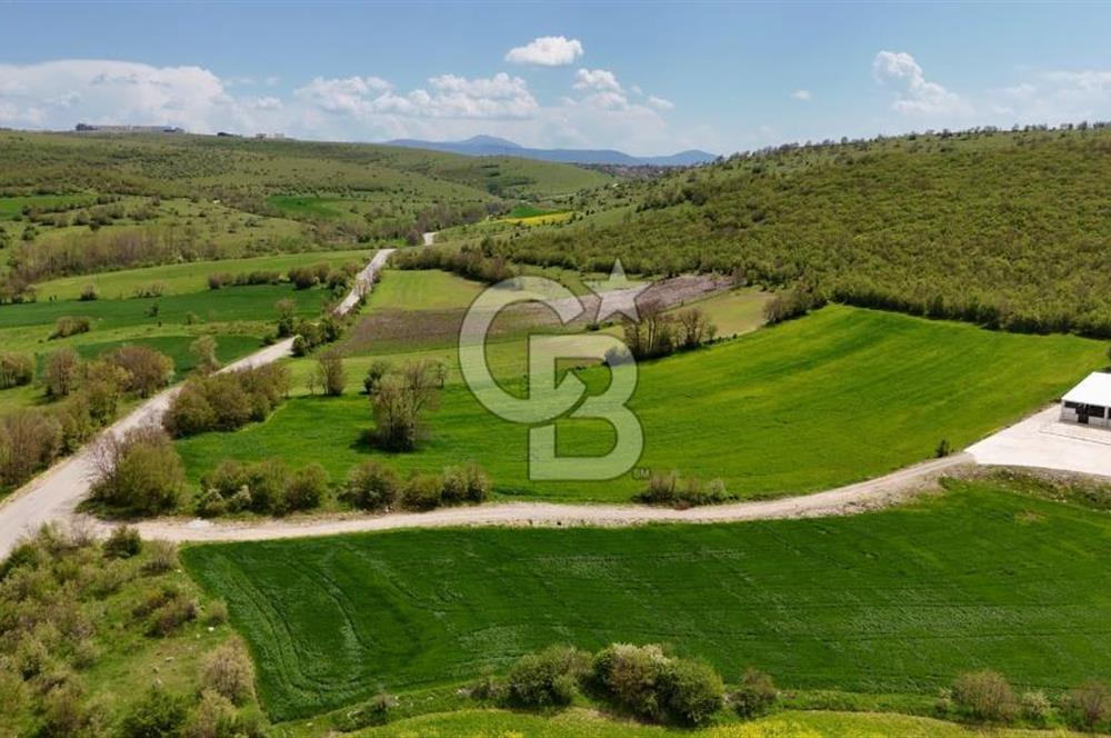 HAVZA KARAMEŞE DE DEV YATIRIM FIRSATI YOLA CEPHE SATILIK TARLA