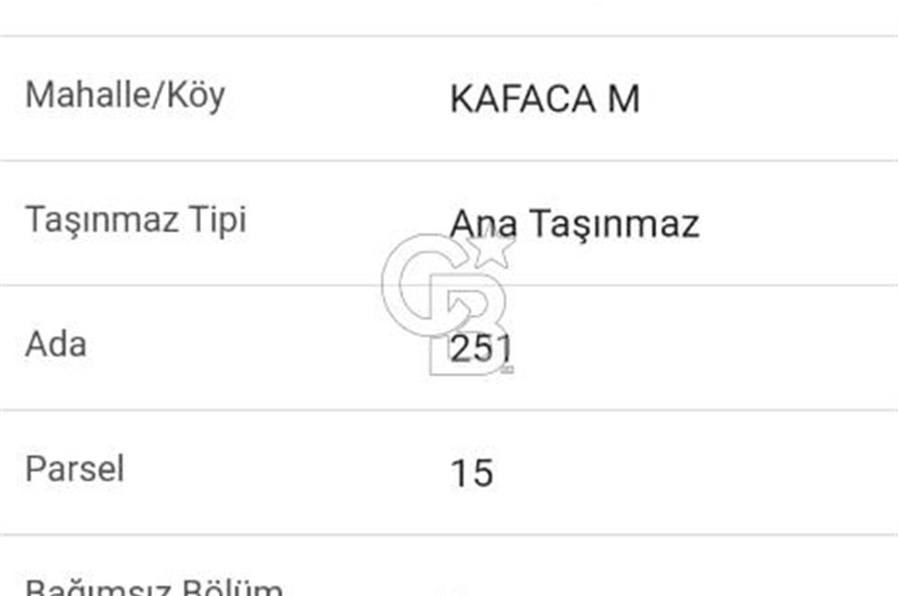 Muğla Menteşe Kafaca Mahallesi'nde Yüzde 50 Hissesi Satılık Zeytinlik
