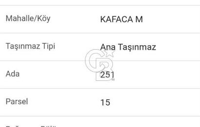 Muğla Menteşe Kafaca Mahallesi'nde Yüzde 50 Hissesi Satılık Zeytinlik