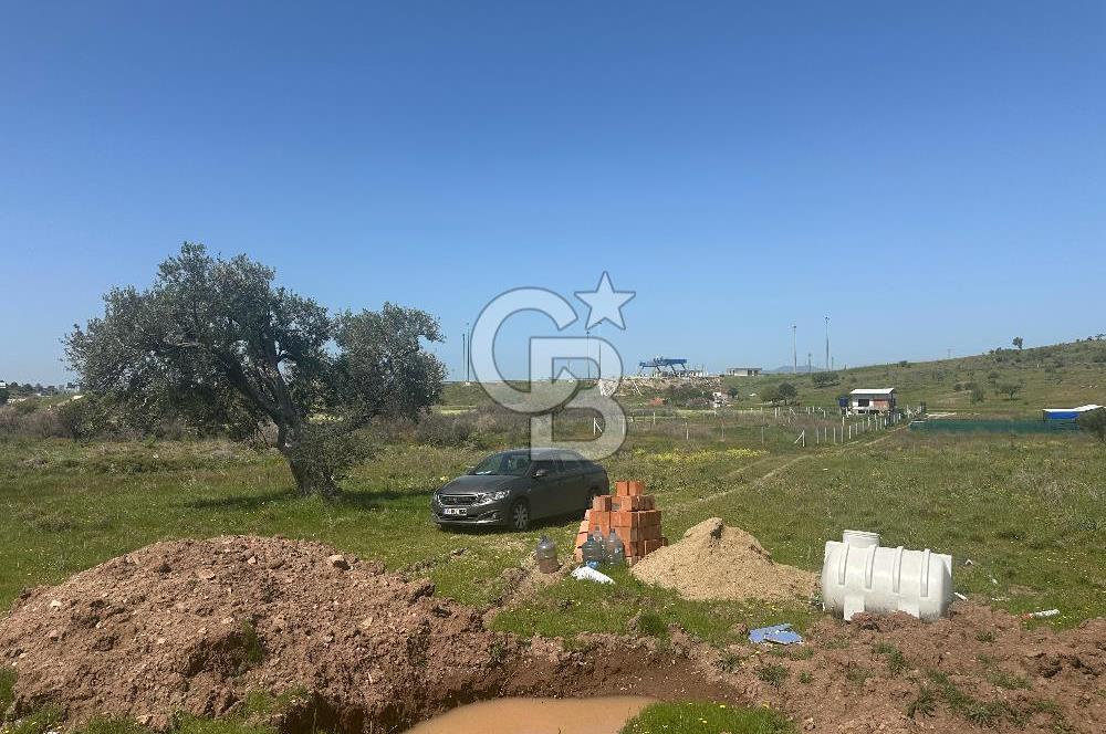 ŞAKRAN GİŞELER YANINDA DOĞAL YAŞAMA UYGUN TARLA