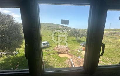 ŞAKRAN GİŞELER YANINDA DOĞAL YAŞAMA UYGUN TARLA