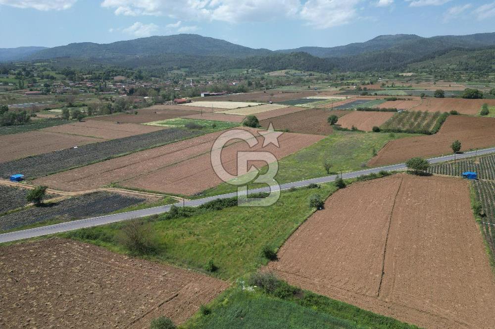 Çanakkale Yenice Hamdibey Köyünde Anayola Cephe Satılık 1790 M²