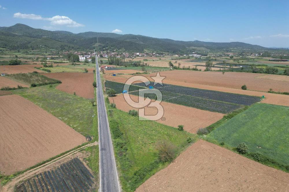 Çanakkale Yenice Hamdibey Köyünde Anayola Cephe Satılık 1790 M²