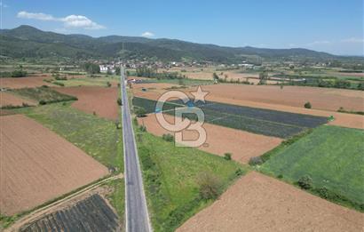 Çanakkale Yenice Hamdibey Köyünde Anayola Cephe Satılık 1790 M²
