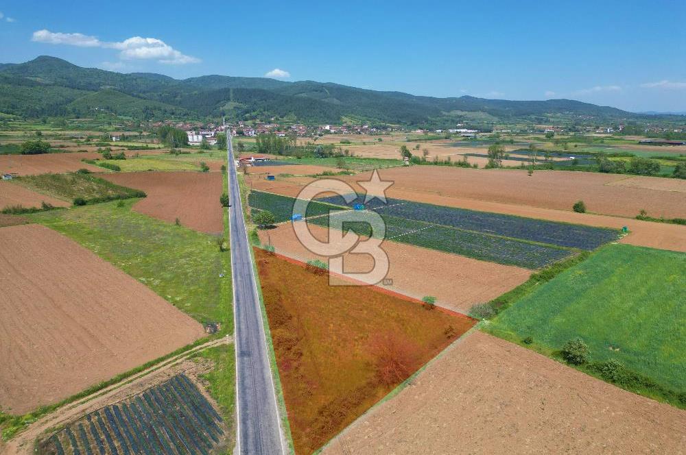 Çanakkale Yenice Hamdibey Köyünde Anayola Cephe Satılık 1790 M²