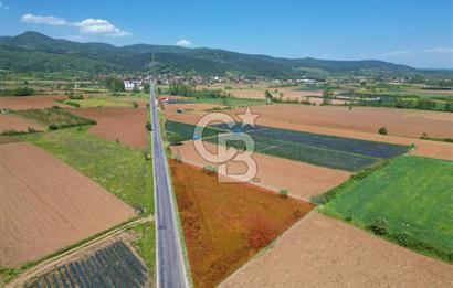 Çanakkale Yenice Hamdibey Köyünde Anayola Cephe Satılık 1790 M²