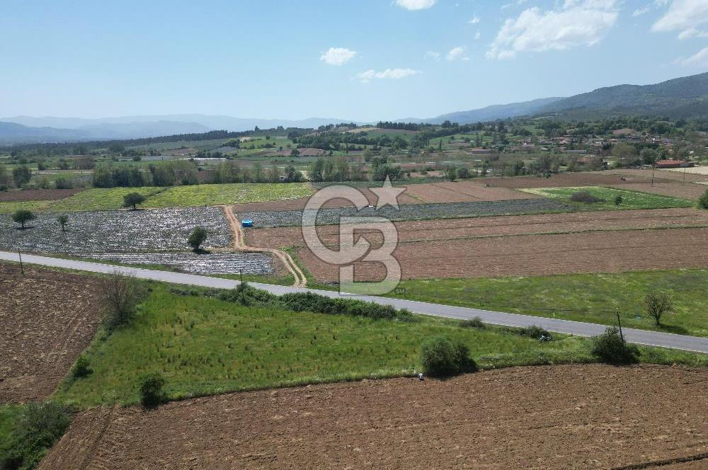 Çanakkale Yenice Hamdibey Köyünde Anayola Cephe Satılık 1790 M²