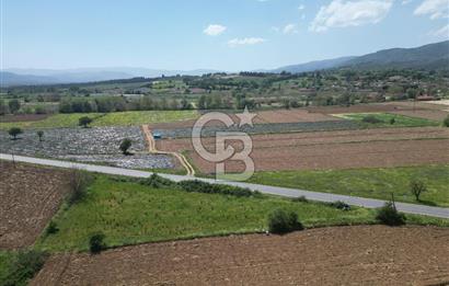 Çanakkale Yenice Hamdibey Köyünde Anayola Cephe Satılık 1790 M²