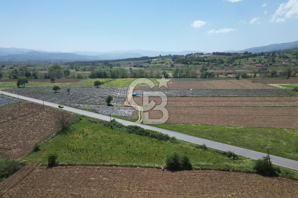 Çanakkale Yenice Hamdibey Köyünde Anayola Cephe Satılık 1790 M²