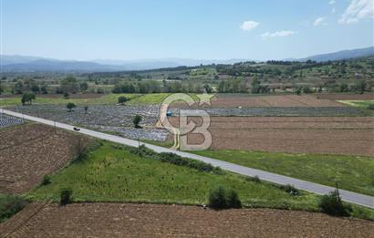 Çanakkale Yenice Hamdibey Köyünde Anayola Cephe Satılık 1790 M²