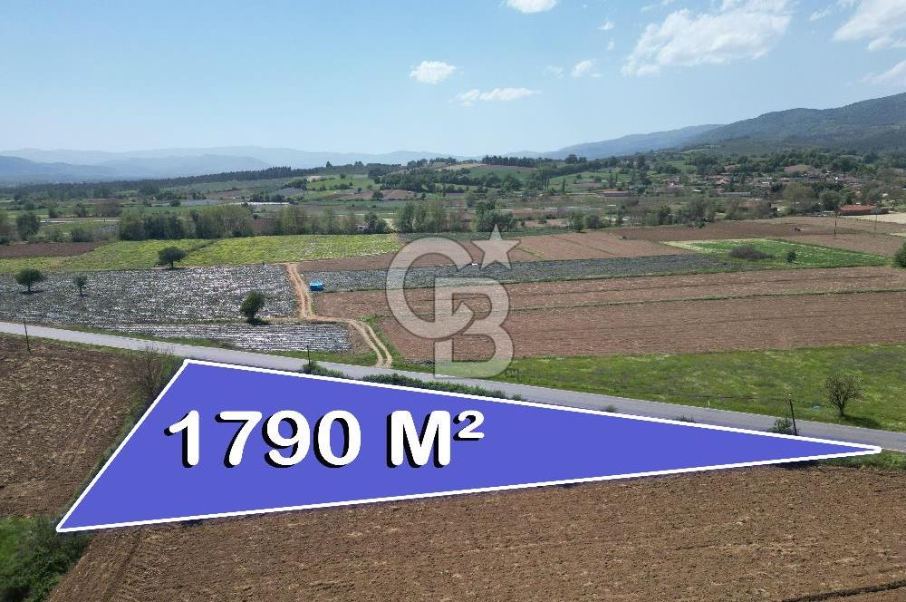 Çanakkale Yenice Hamdibey Köyünde Anayola Cephe Satılık 1790 M²