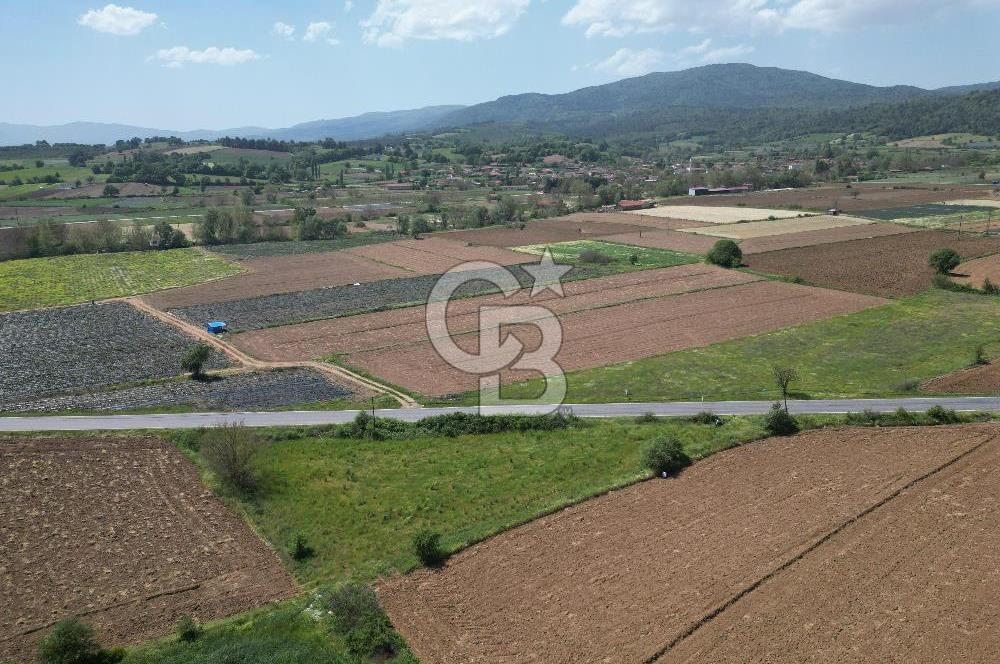 Çanakkale Yenice Hamdibey Köyünde Anayola Cephe Satılık 1790 M²