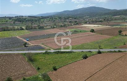 Çanakkale Yenice Hamdibey Köyünde Anayola Cephe Satılık 1790 M²