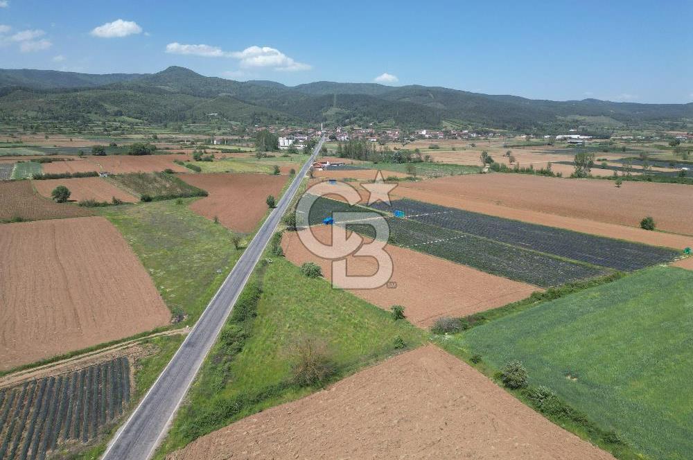 Çanakkale Yenice Hamdibey Köyünde Anayola Cephe Satılık 1790 M²