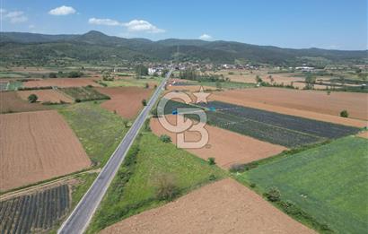Çanakkale Yenice Hamdibey Köyünde Anayola Cephe Satılık 1790 M²