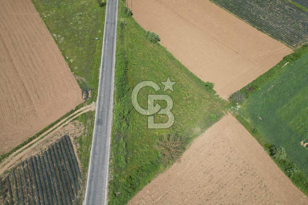 Çanakkale Yenice Hamdibey Köyünde Anayola Cephe Satılık 1790 M²