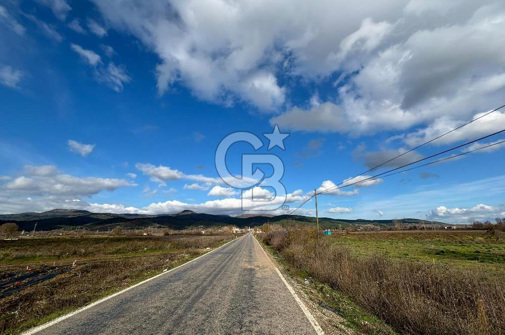 Çanakkale Yenice Hamdibey Köyünde Anayola Cephe Satılık 1790 M²