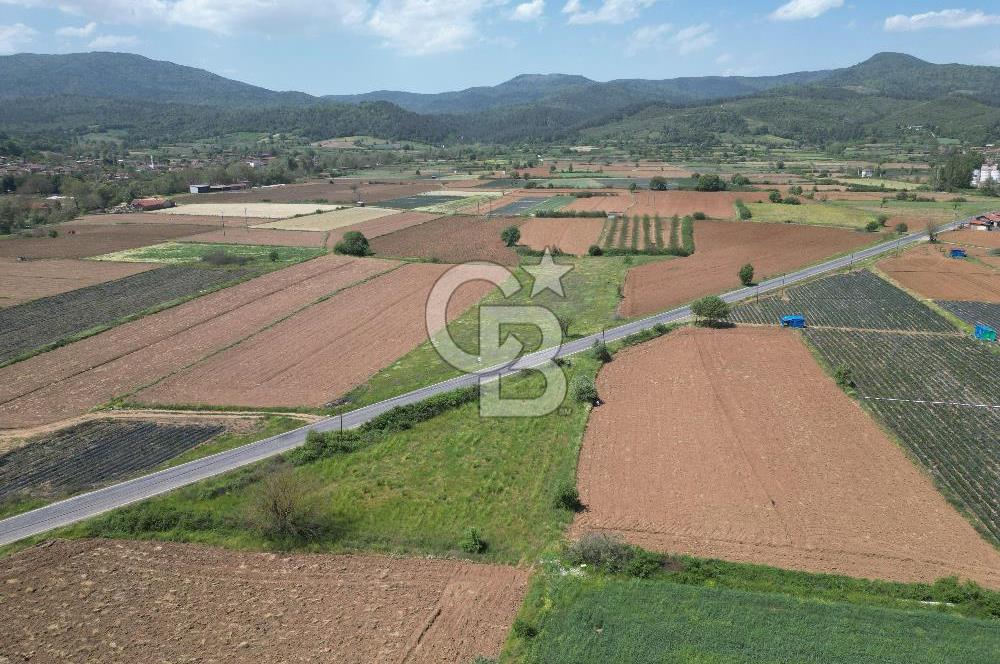 Çanakkale Yenice Hamdibey Köyünde Anayola Cephe Satılık 1790 M²