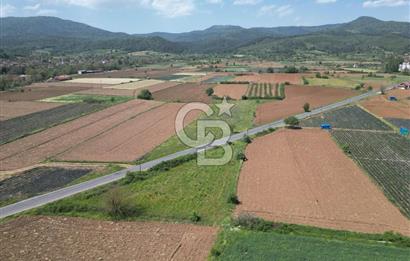 Çanakkale Yenice Hamdibey Köyünde Anayola Cephe Satılık 1790 M²