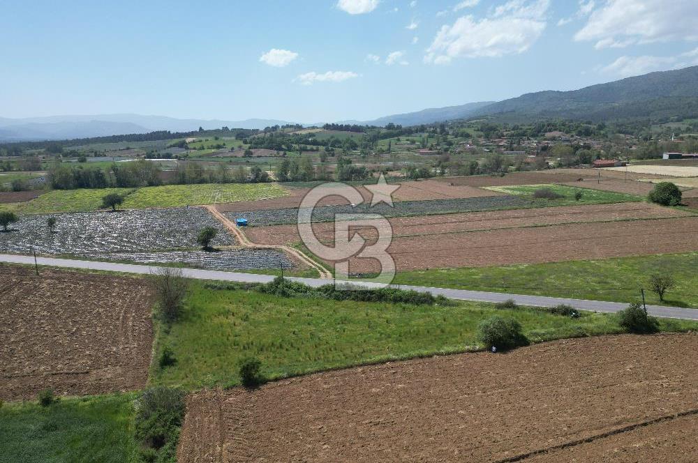 Çanakkale Yenice Hamdibey Köyünde Anayola Cephe Satılık 1790 M²