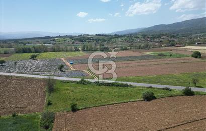 Çanakkale Yenice Hamdibey Köyünde Anayola Cephe Satılık 1790 M²