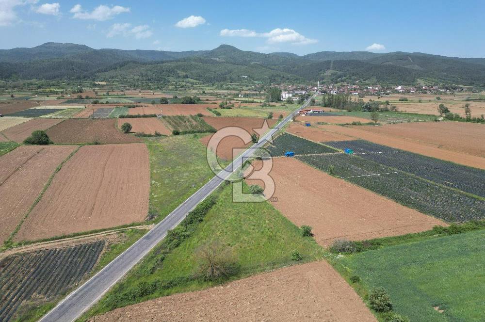 Çanakkale Yenice Hamdibey Köyünde Anayola Cephe Satılık 1790 M²