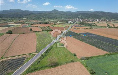 Çanakkale Yenice Hamdibey Köyünde Anayola Cephe Satılık 1790 M²