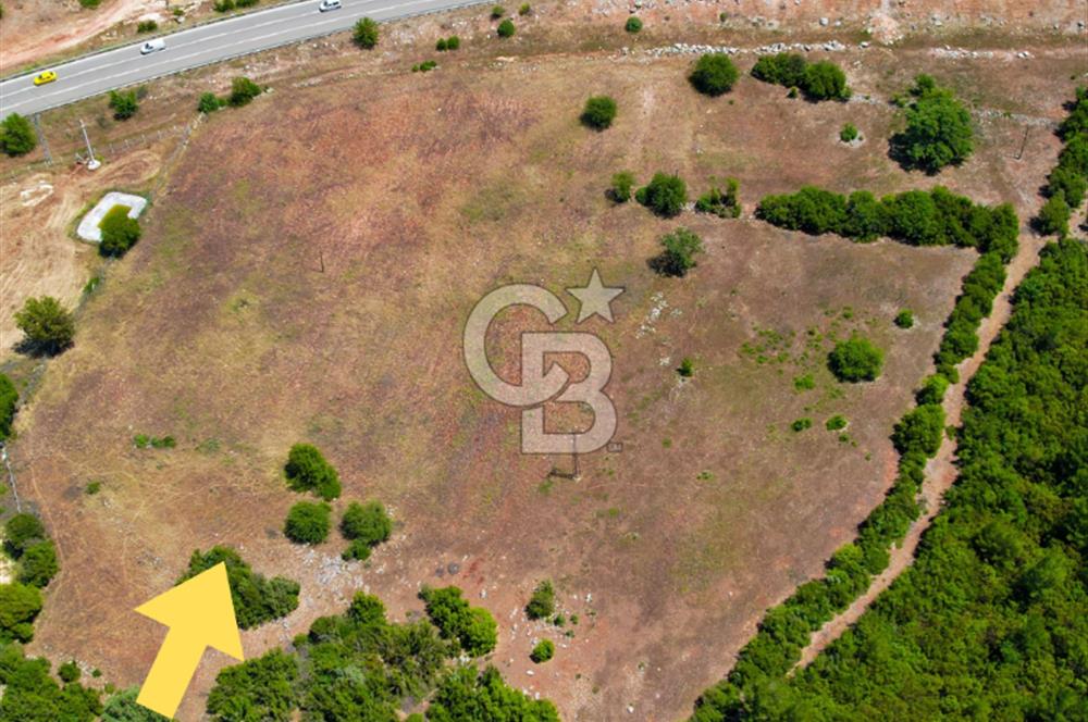 ANTALYA KAŞ SARILARDA D-400 KARA YOLU KENARINDA SATILIK TARLA