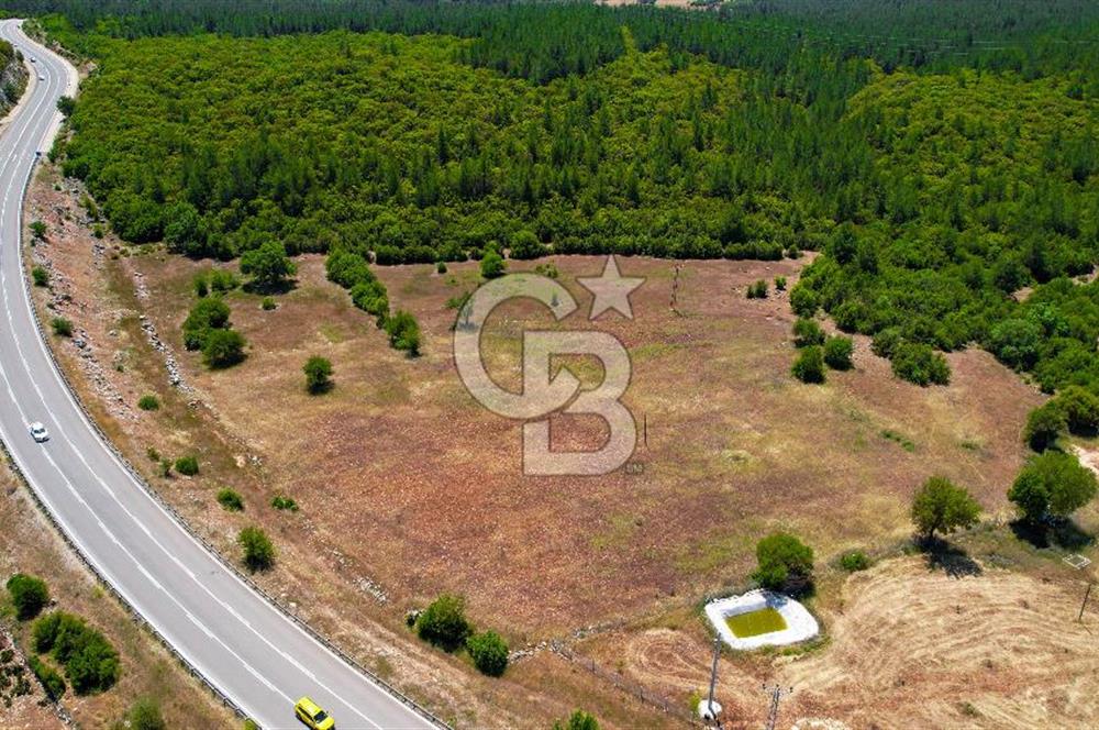 ANTALYA KAŞ SARILARDA D-400 KARA YOLU KENARINDA SATILIK TARLA