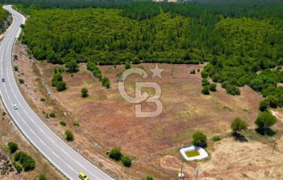 ANTALYA KAŞ SARILARDA D-400 KARA YOLU KENARINDA SATILIK TARLA