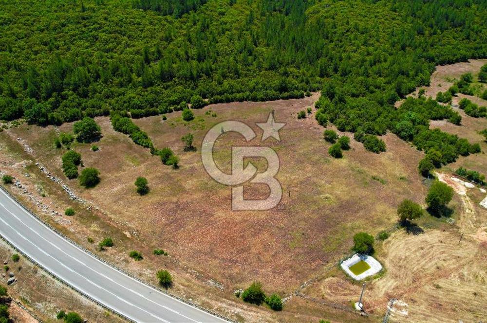 ANTALYA KAŞ SARILARDA D-400 KARA YOLU KENARINDA SATILIK TARLA