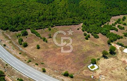ANTALYA KAŞ SARILARDA D-400 KARA YOLU KENARINDA SATILIK TARLA