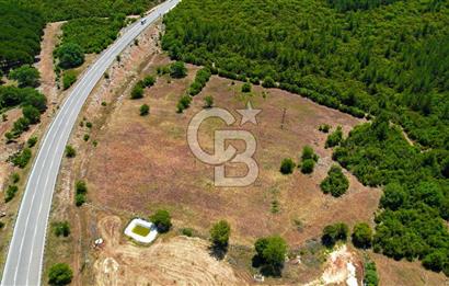 ANTALYA KAŞ SARILARDA D-400 KARA YOLU KENARINDA SATILIK TARLA
