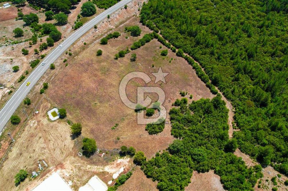 ANTALYA KAŞ SARILARDA D-400 KARA YOLU KENARINDA SATILIK TARLA