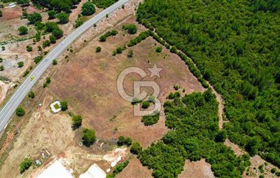 ANTALYA KAŞ SARILARDA D-400 KARA YOLU KENARINDA SATILIK TARLA