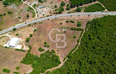 ANTALYA KAŞ SARILARDA D-400 KARA YOLU KENARINDA SATILIK TARLA