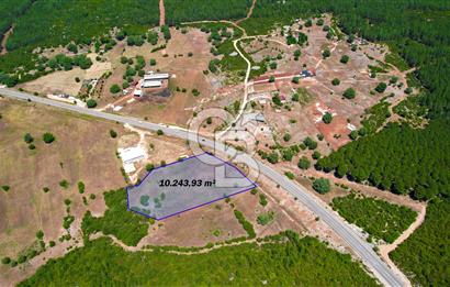 ANTALYA KAŞ SARILARDA D-400 KARA YOLU KENARINDA SATILIK TARLA