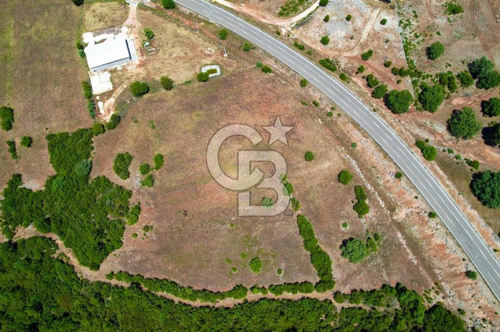 ANTALYA KAŞ SARILARDA D-400 KARA YOLU KENARINDA SATILIK TARLA