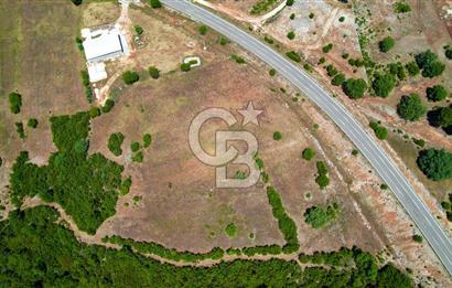 ANTALYA KAŞ SARILARDA D-400 KARA YOLU KENARINDA SATILIK TARLA