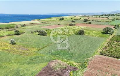 Çanakkale Merkez Karacaören de Boğaz Manzaralı Satılık Tarla