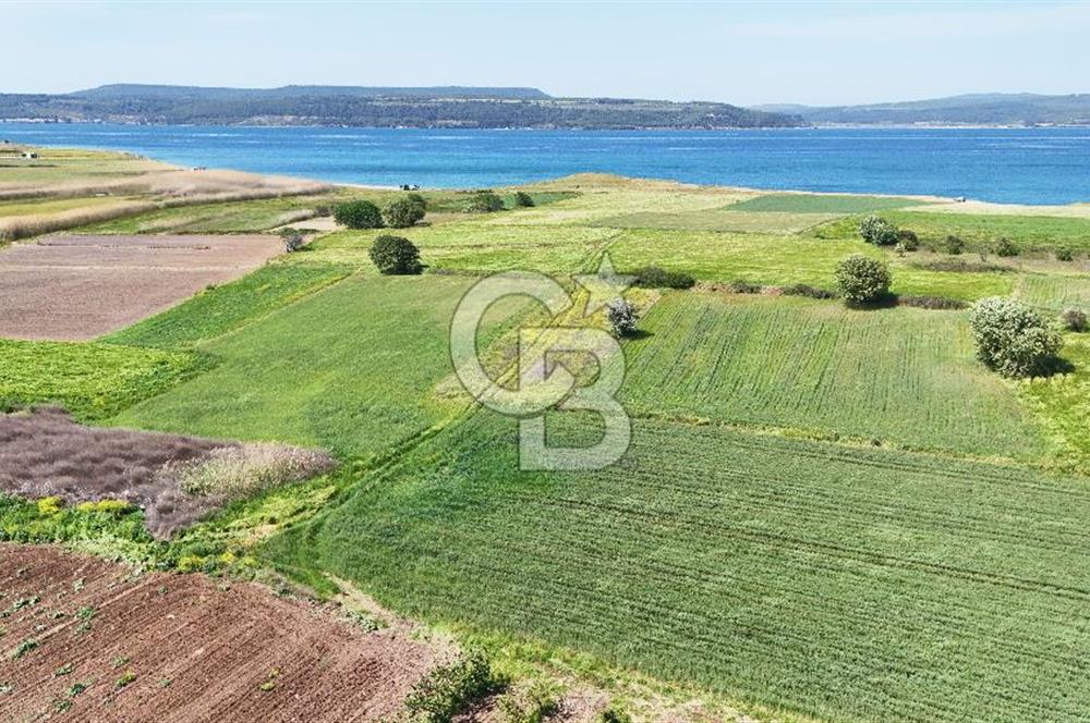 Çanakkale Merkez Karacaören de Boğaz Manzaralı Satılık Tarla
