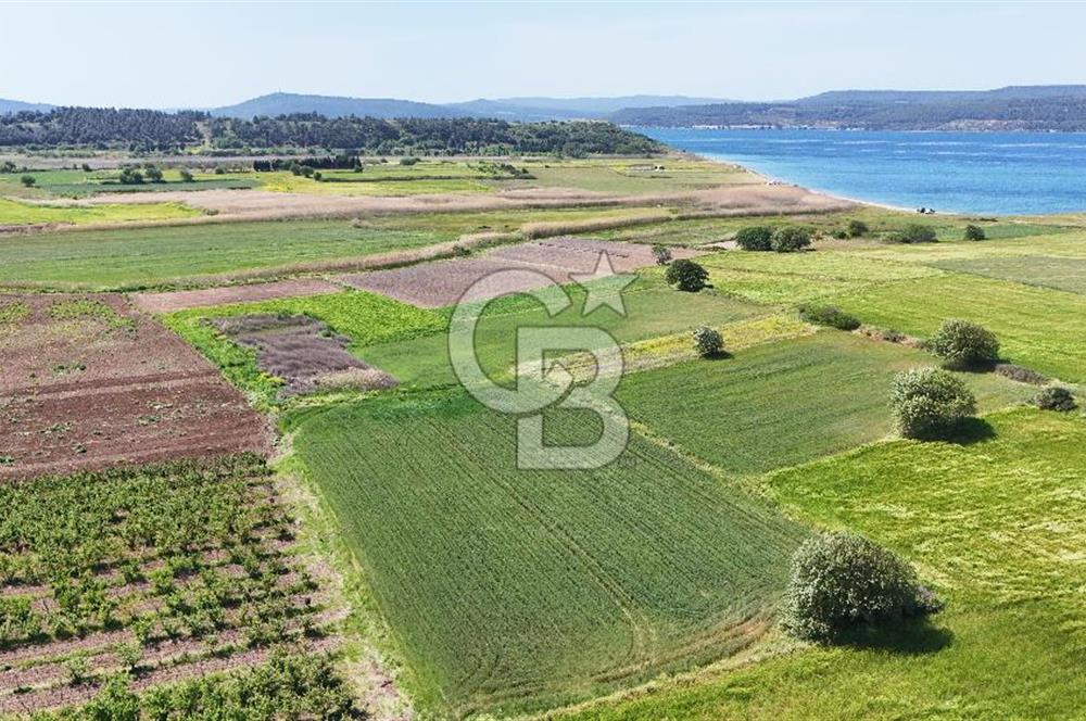Çanakkale Merkez Karacaören de Boğaz Manzaralı Satılık Tarla