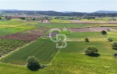 Çanakkale Merkez Karacaören de Boğaz Manzaralı Satılık Tarla