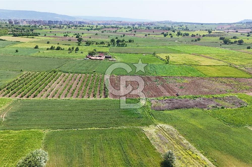 Çanakkale Merkez Karacaören de Boğaz Manzaralı Satılık Tarla