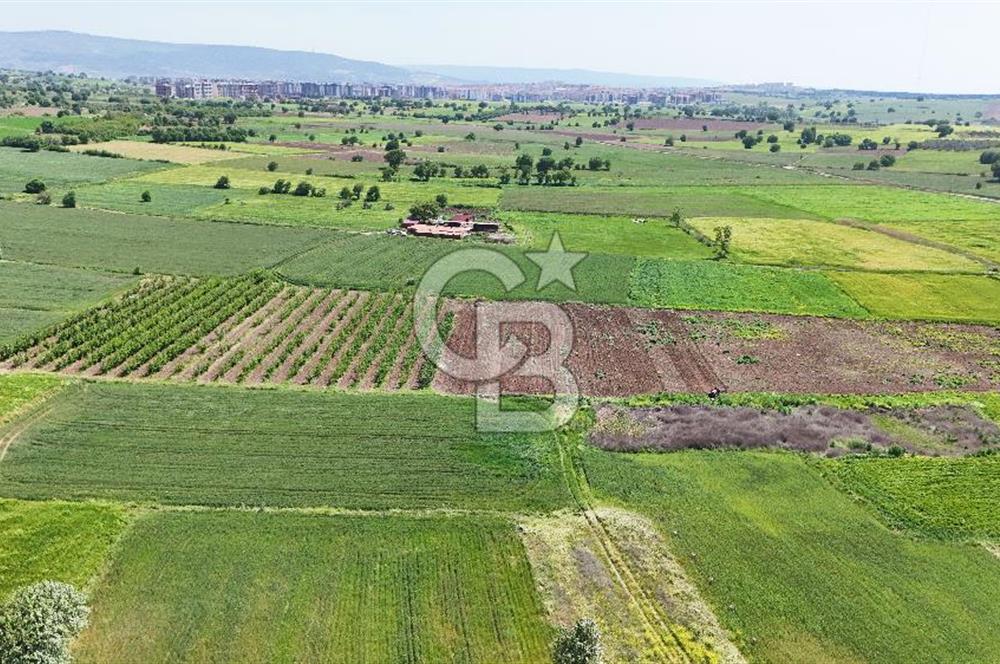 Çanakkale Merkez Karacaören de Boğaz Manzaralı Satılık Tarla