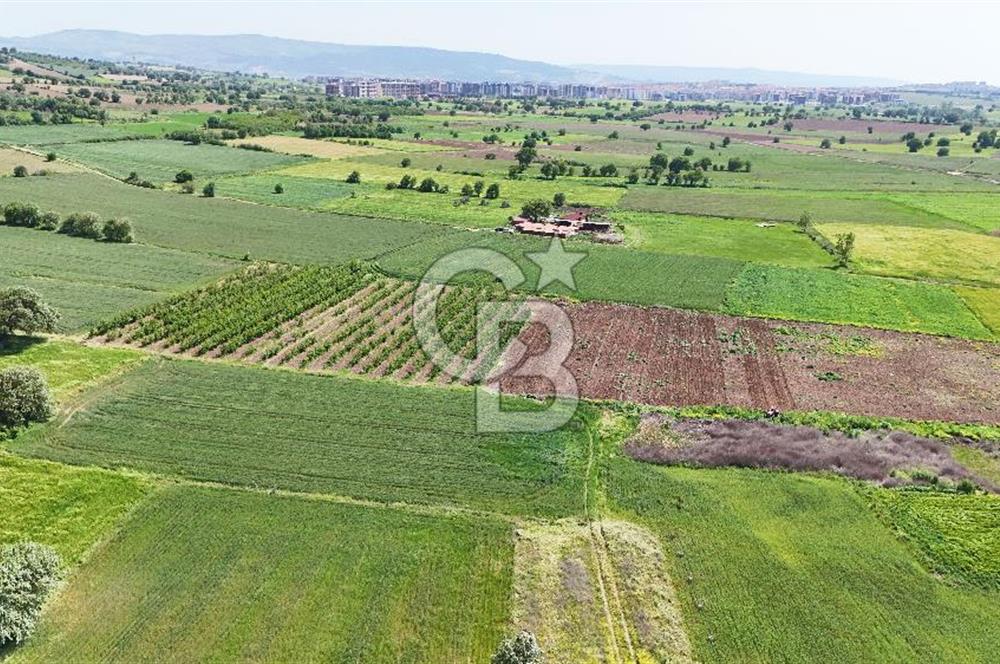Çanakkale Merkez Karacaören de Boğaz Manzaralı Satılık Tarla