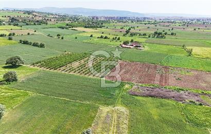 Çanakkale Merkez Karacaören de Boğaz Manzaralı Satılık Tarla