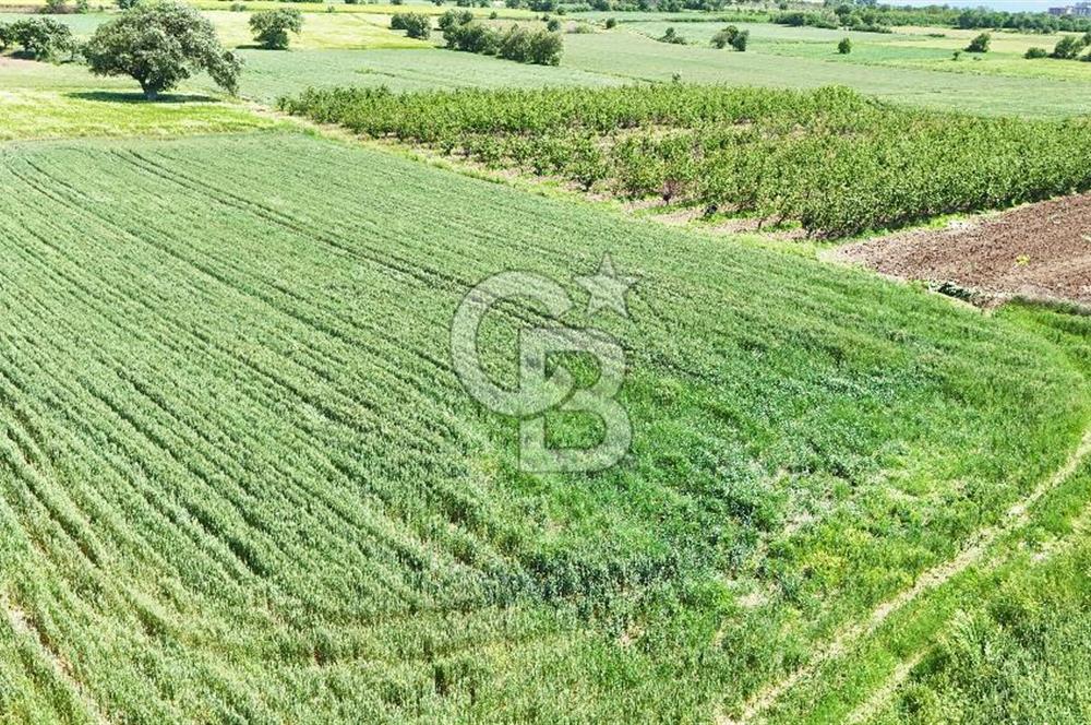 Çanakkale Merkez Karacaören de Boğaz Manzaralı Satılık Tarla