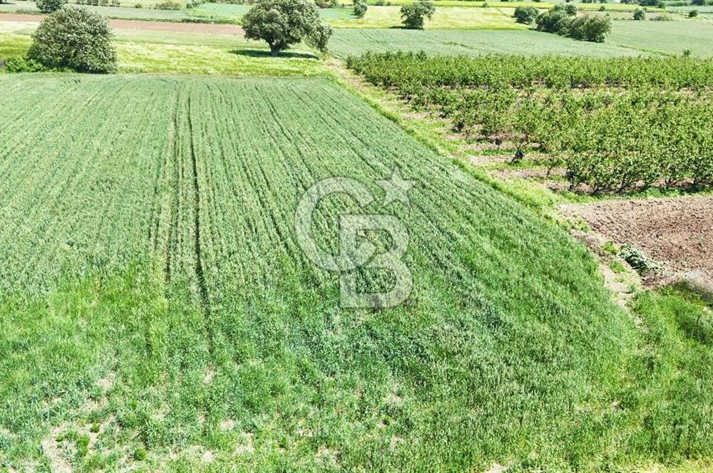 Çanakkale Merkez Karacaören de Boğaz Manzaralı Satılık Tarla