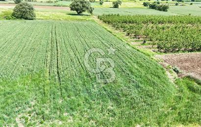 Çanakkale Merkez Karacaören de Boğaz Manzaralı Satılık Tarla